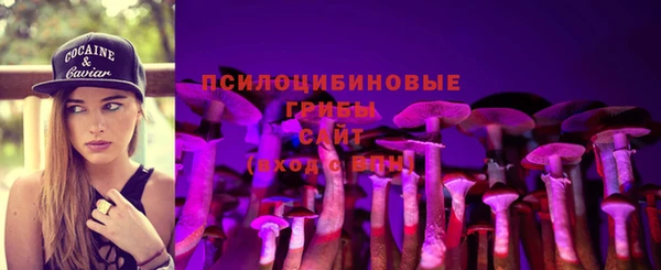 а пвп мука Новозыбков