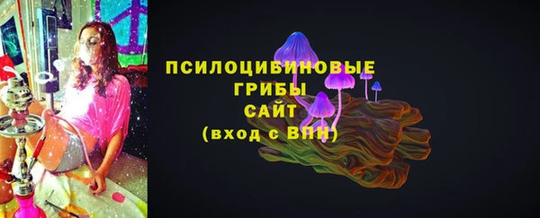 прущая мука Нея